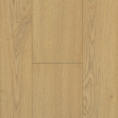 Silva Oak